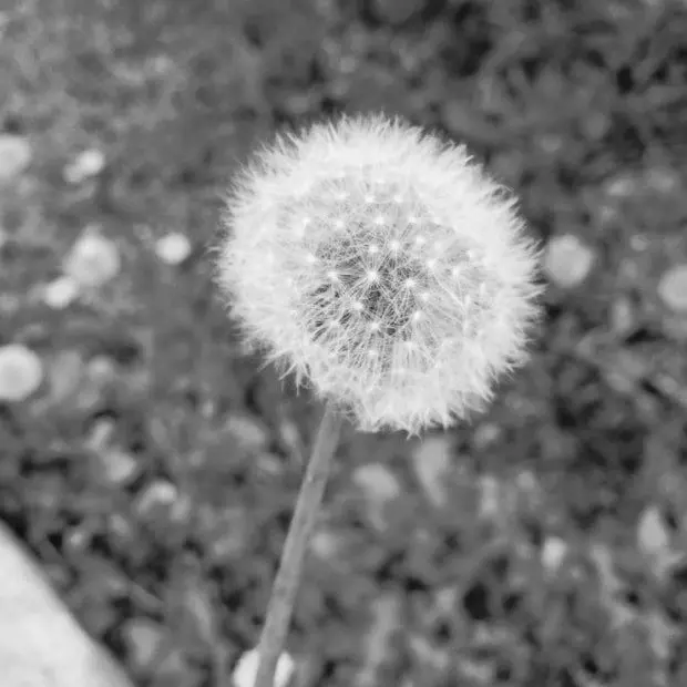 HungryChalk5365의 박성화