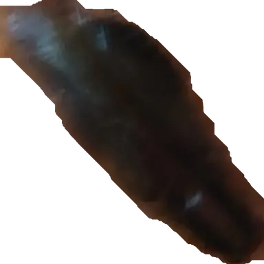 Profile image of 여우