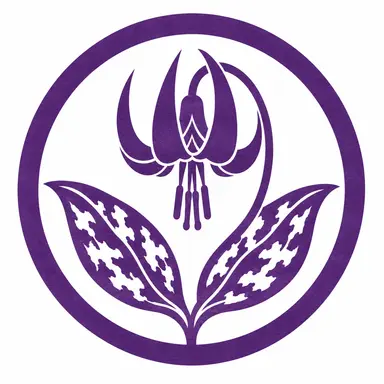 Profile image of 銀