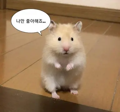 Profile image of 중국