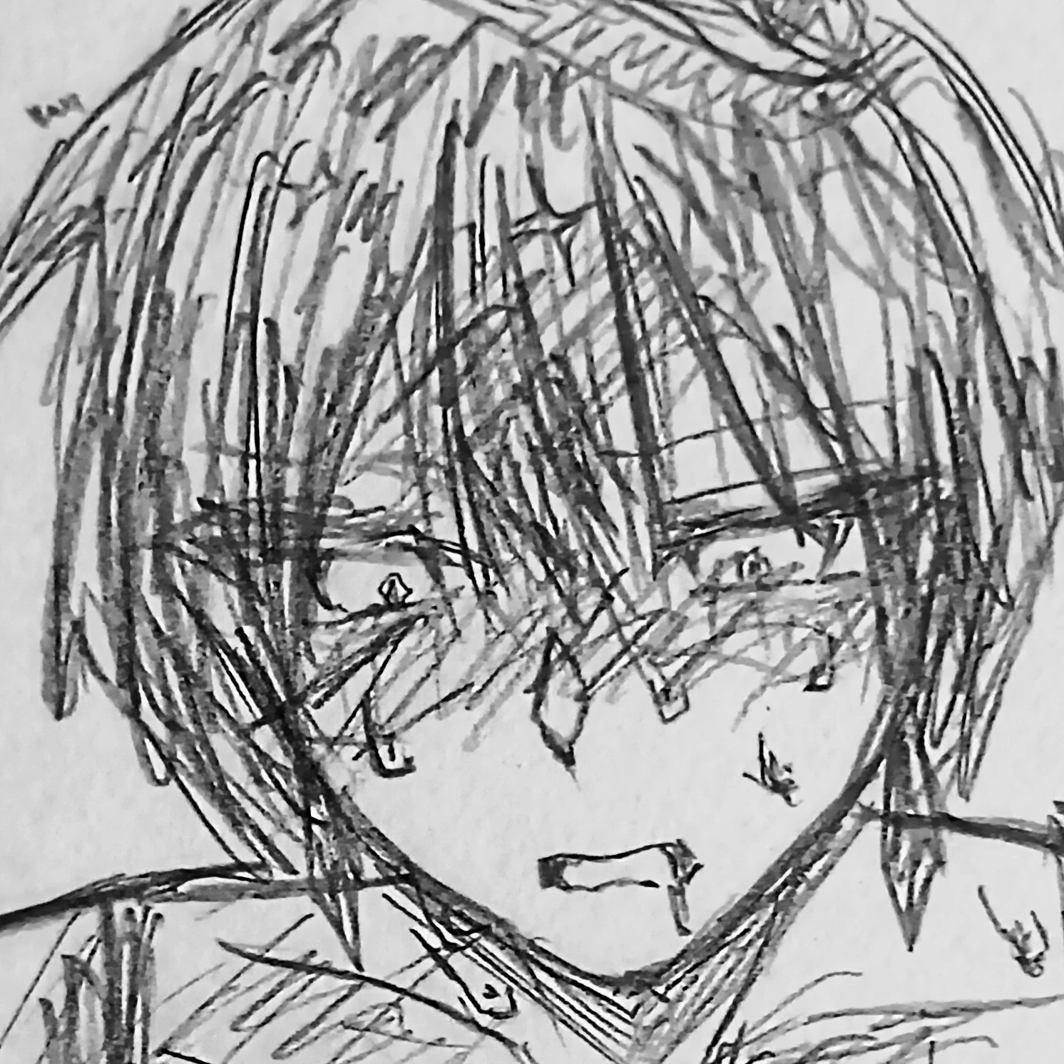 本田椿