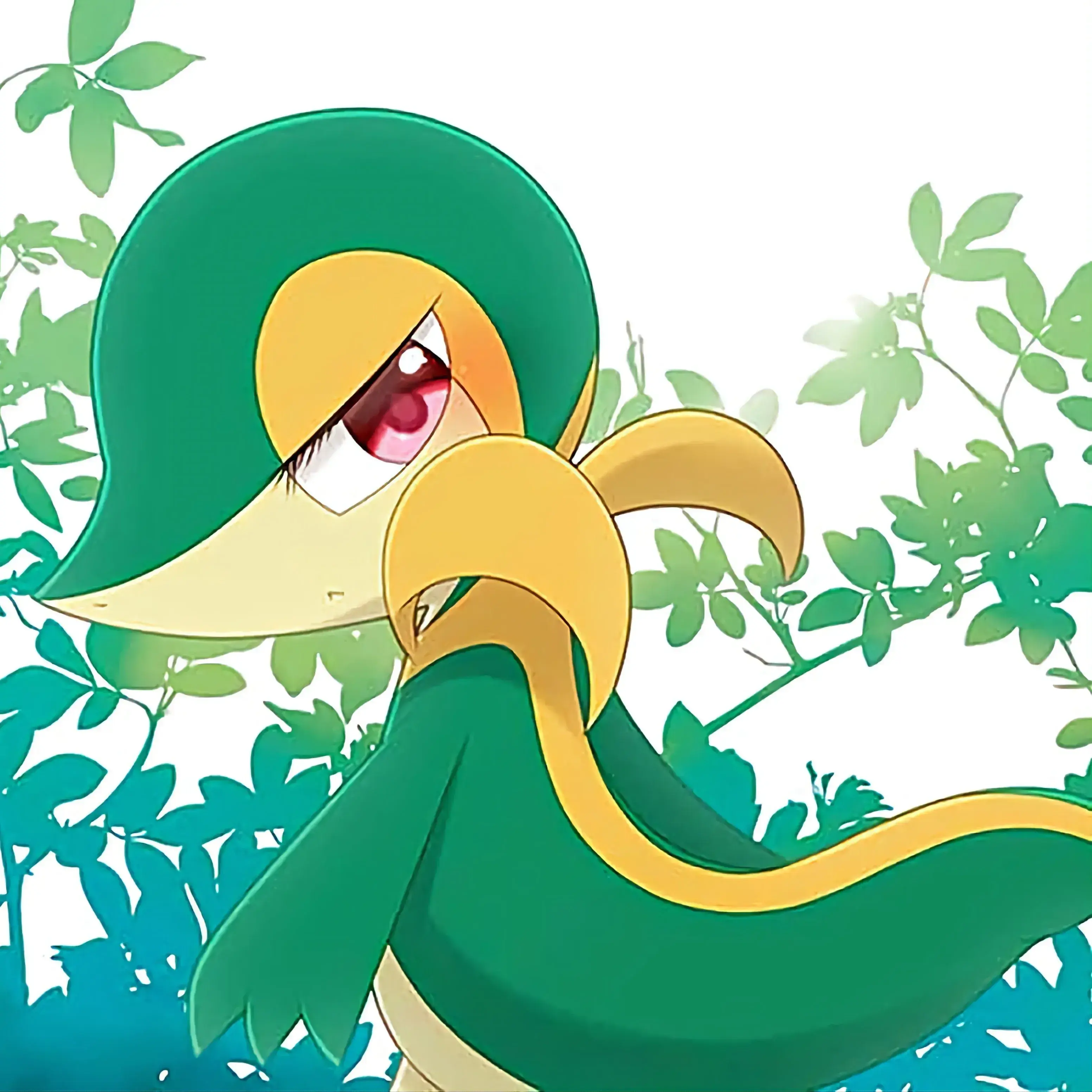 JollyDisc5844의 Snivy