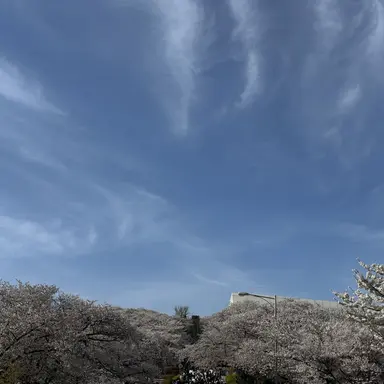 Profile image of 송삼동