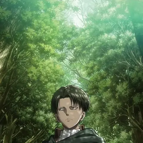 Awachan의 リヴァイ
