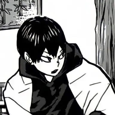 Profile image of 影山 飛雄