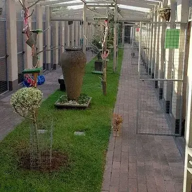 Profile image of Hybrid Shelter