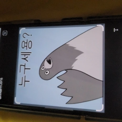 새대갈