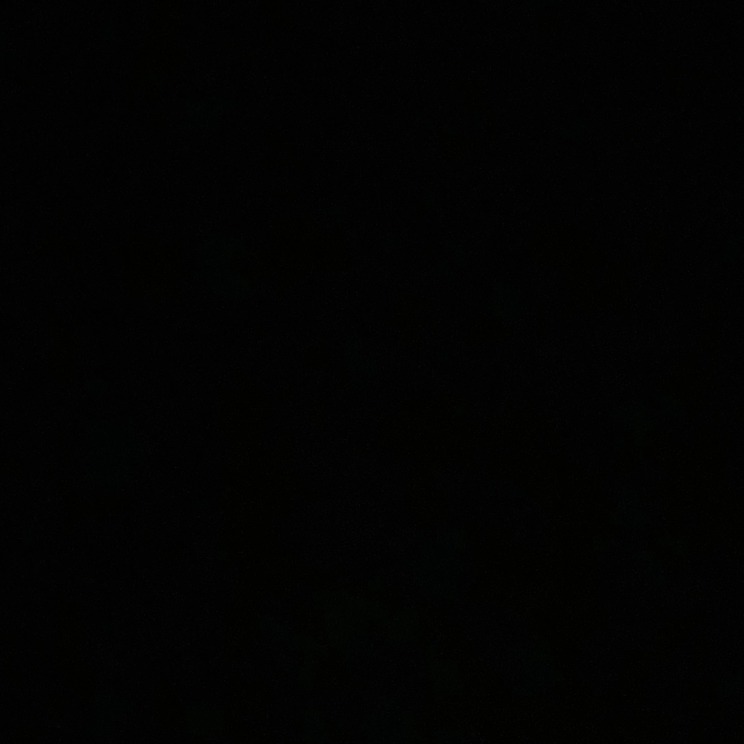 文ストの天人五衰三人