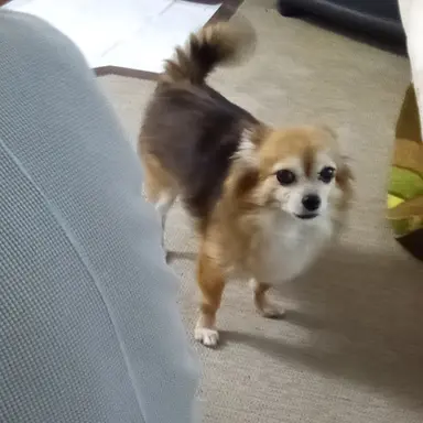 Profile image of 田中樹