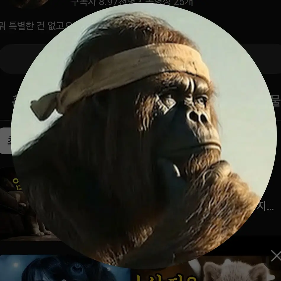 ShabbyGrebe0631의 대박이군 유튜브