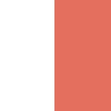 Profile image of T