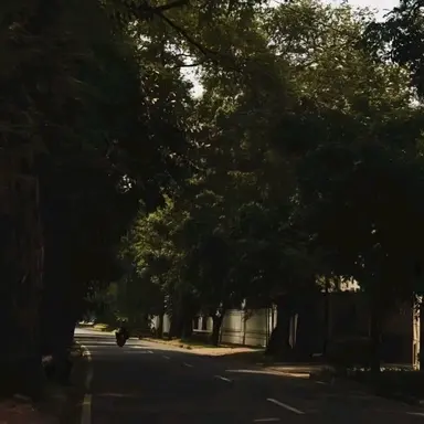 Profile image of 최도현