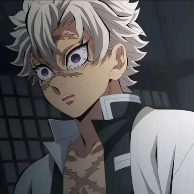 Profile image of 시나즈가와 사네미