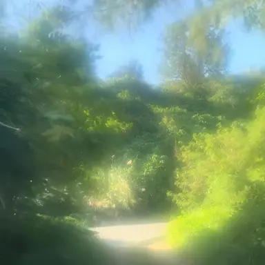 Profile image of 비챤