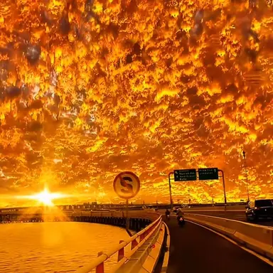 Profile image of 징버거