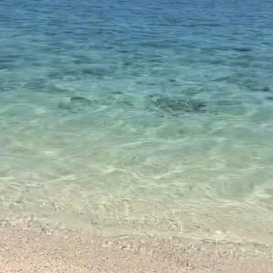 Profile image of 고세구