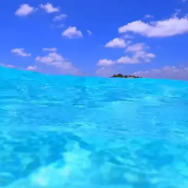 Profile image of 릴파