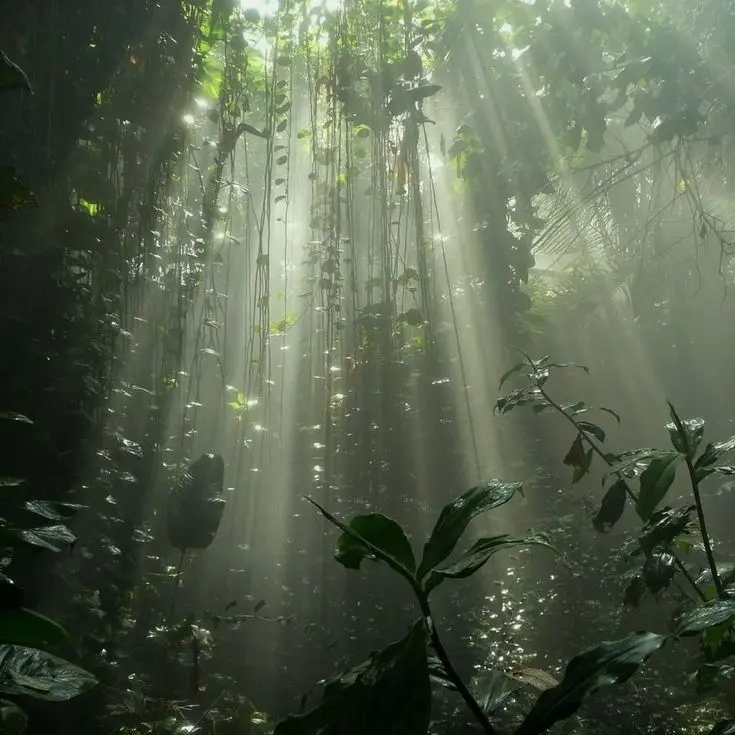 waitforyou4000의 우리는 지옥에 가겠지