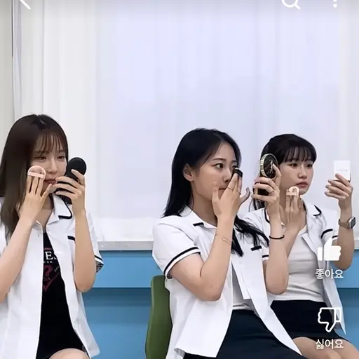 WiryVole6708의 정민정,이로아,모찌