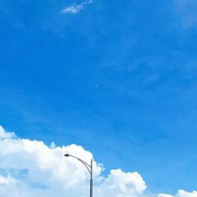 Profile image of 운터