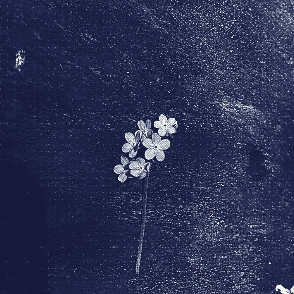 merrr의 ㅤ