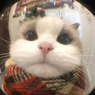 Profile image of 타코아끼