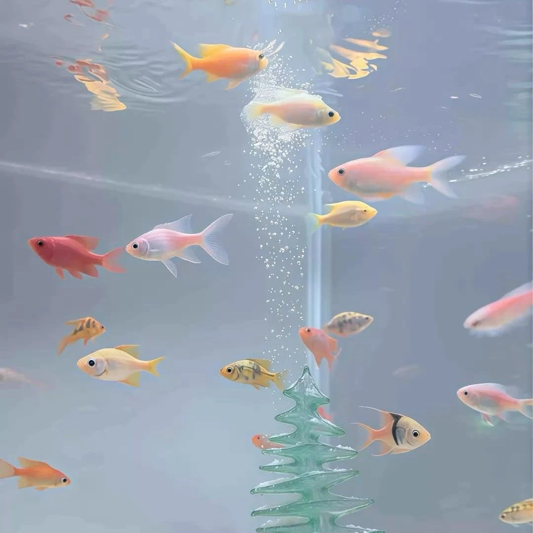 정상현
