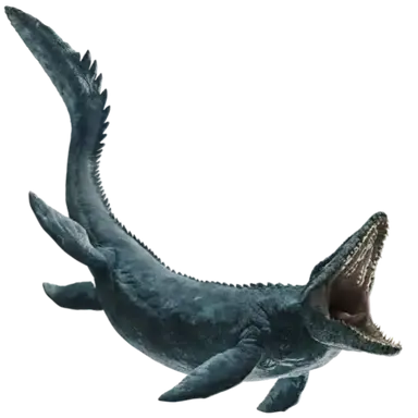 Profile image of 트릴로지 모사