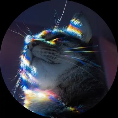 Profile image of The Lov