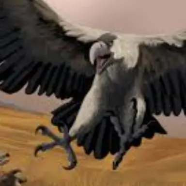 Profile image of 아르젠타비스