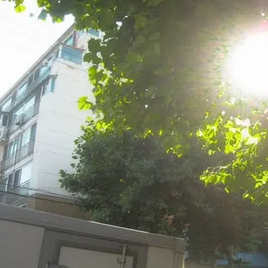 Profile image of 서 라더