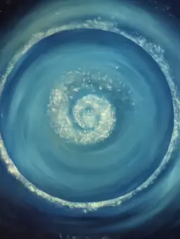 warutomo.loye의 監禁