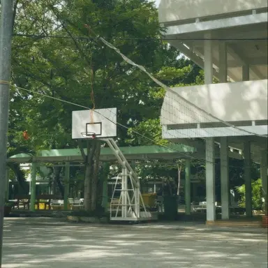 Profile image of 공룡