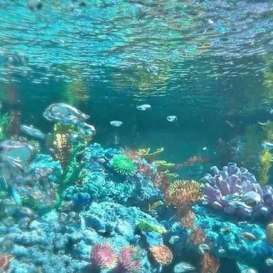 Profile image of 잠뜰