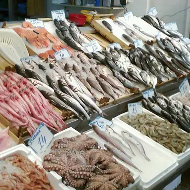 Profile image of 도건우