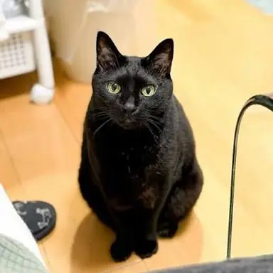 Profile image of 滉斗