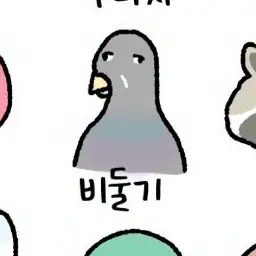 Profile image of 여우