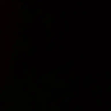 Profile image of 심재윤