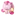 앙영이