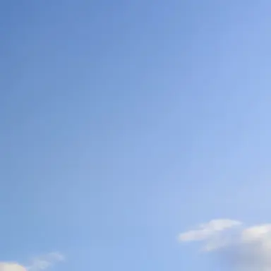 Profile image of ミツキ