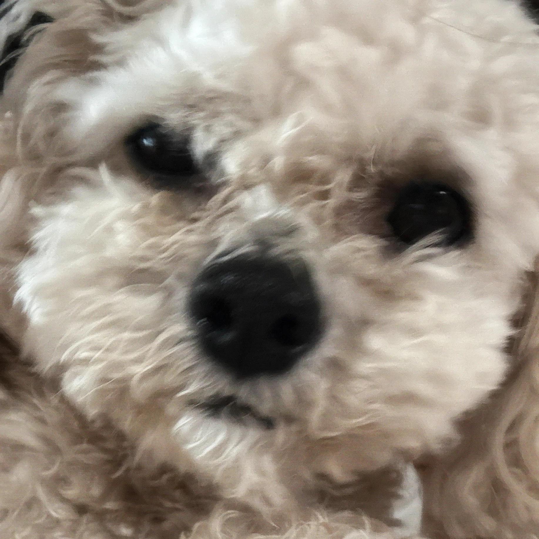 먼즤