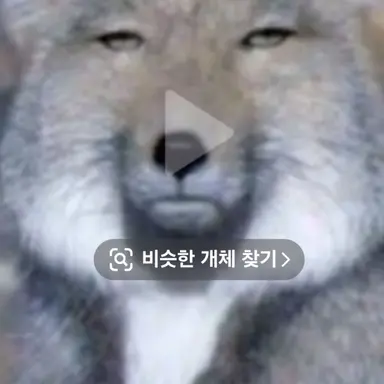 Profile image of 여우