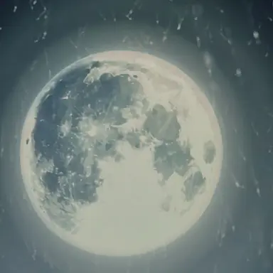 Profile image of 늑대