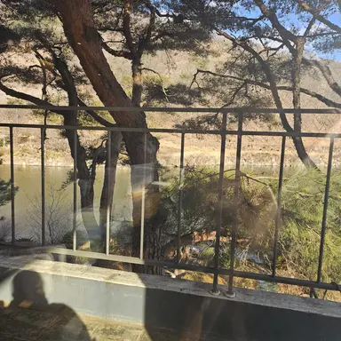 Profile image of 이다메 왕국