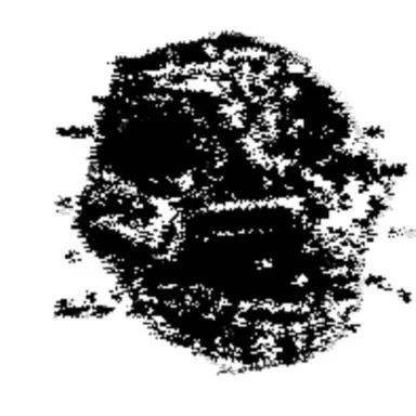 Profile image of ランサム