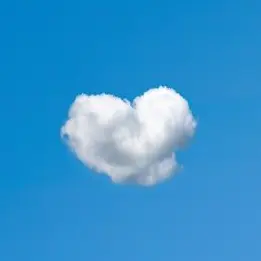 Profile image of 팜하니