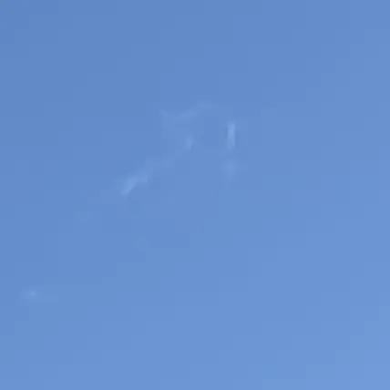 Thkkwkk의 토도로키 가문