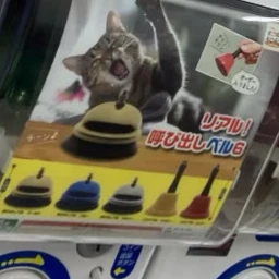 西畑大吾