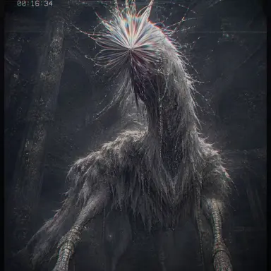 Profile image of 고허르