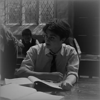 Profile image of Harry Potter